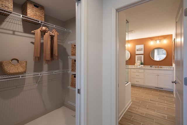 spacious closet with sink