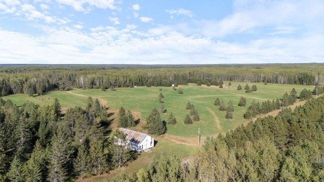 Listing photo 3 for 1661 County Road 19, Orr MN 55771