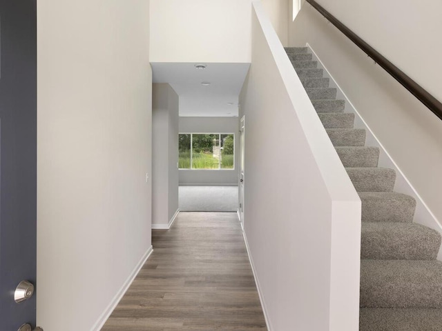 stairway with hardwood / wood-style floors