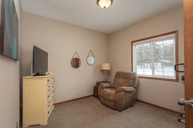 living area with light carpet