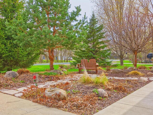 16694 206th Cir, Hutchinson, MN 55350 - surrounding community featuring a yard