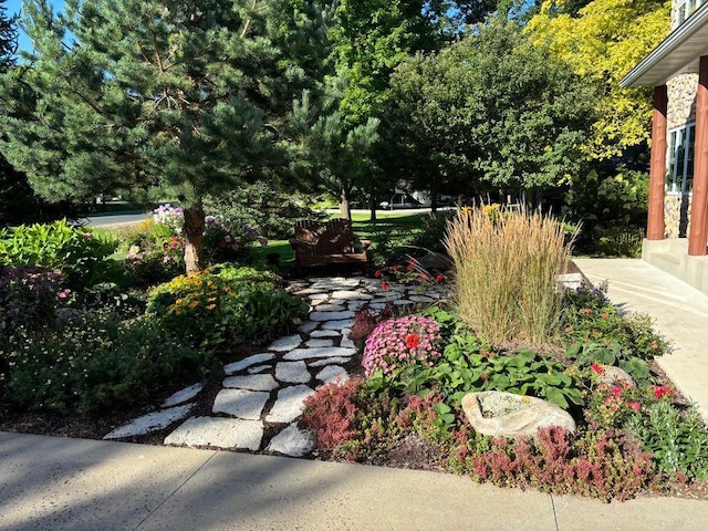 16694 206th Cir, Hutchinson, MN 55350 - view of yard