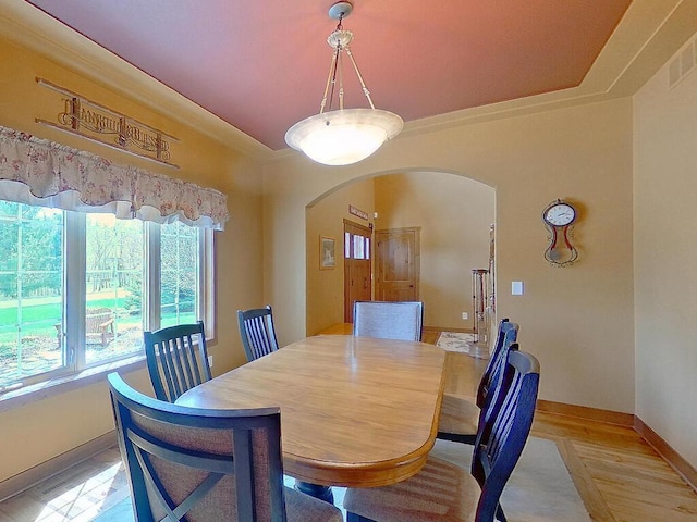 16694 206th Cir, Hutchinson, MN 55350 - dining area with arched walkways and baseboards
