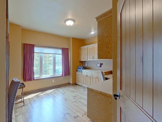 16694 206th Cir, Hutchinson, MN 55350 - kitchen featuring light countertops, light wood-type flooring, and baseboards