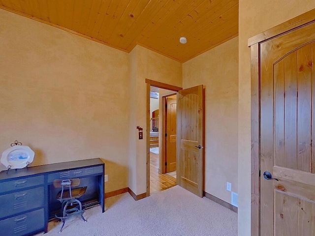 16694 206th Cir, Hutchinson, MN 55350 - office space featuring carpet, baseboards, and wooden ceiling