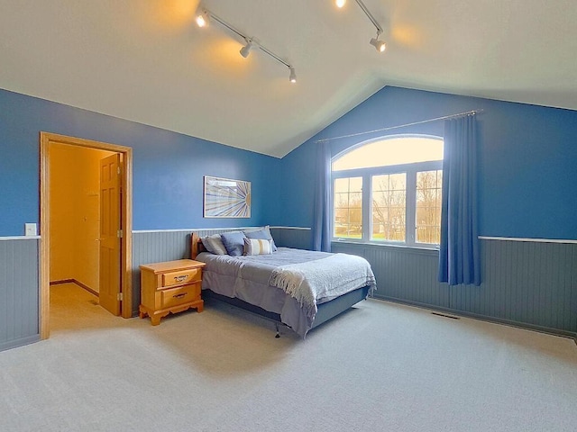 16694 206th Cir, Hutchinson, MN 55350 - carpeted bedroom featuring rail lighting, a wainscoted wall, and vaulted ceiling