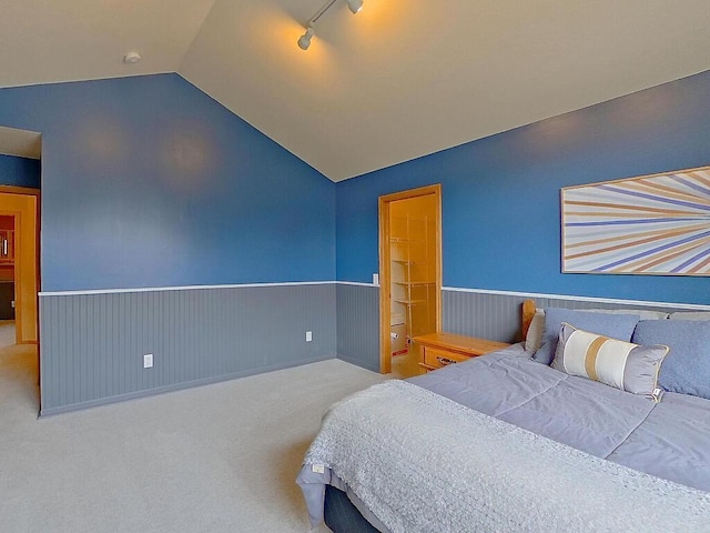 16694 206th Cir, Hutchinson, MN 55350 - bedroom featuring wainscoting, lofted ceiling, and carpet flooring