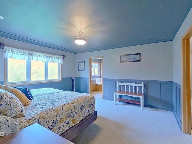 16694 206th Cir, Hutchinson, MN 55350 - carpeted bedroom with wainscoting, multiple windows, and ensuite bathroom