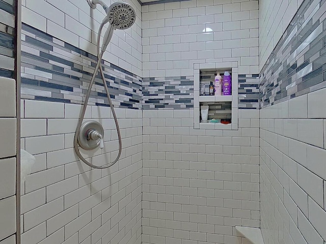 16694 206th Cir, Hutchinson, MN 55350 - bathroom featuring tiled shower