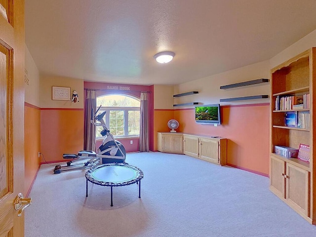 16694 206th Cir, Hutchinson, MN 55350 - living area featuring carpet floors and baseboards