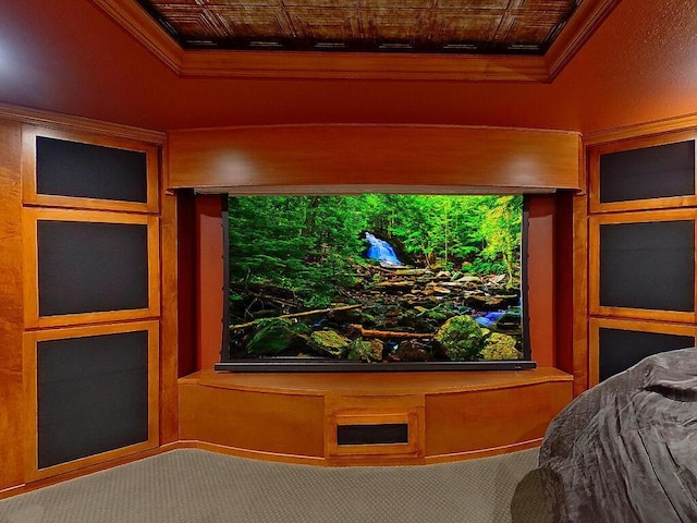 16694 206th Cir, Hutchinson, MN 55350 - carpeted home theater with an ornate ceiling, crown molding, and a raised ceiling