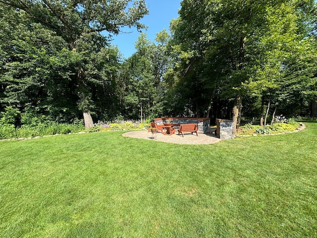 16694 206th Cir, Hutchinson, MN 55350 - view of green lawn featuring a patio
