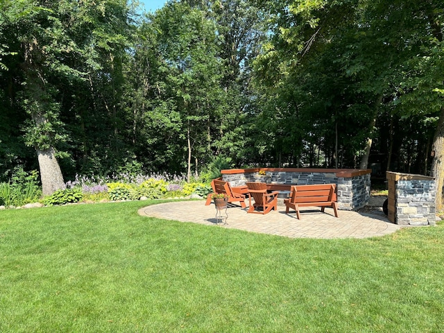 16694 206th Cir, Hutchinson, MN 55350 - view of grassy yard featuring a patio
