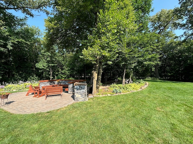 16694 206th Cir, Hutchinson, MN 55350 - view of green lawn with a patio
