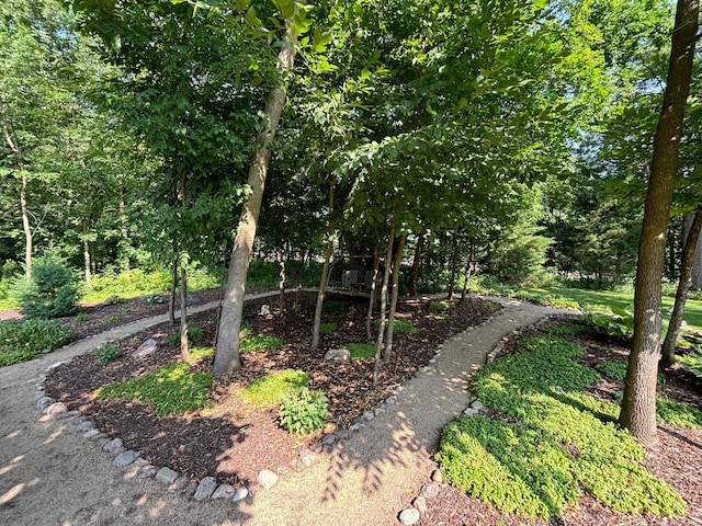 16694 206th Cir, Hutchinson, MN 55350 - view of yard