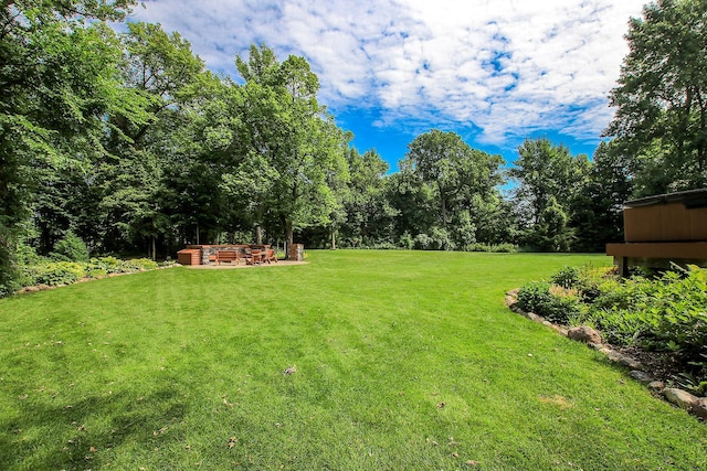 16694 206th Cir, Hutchinson, MN 55350 - view of grassy yard