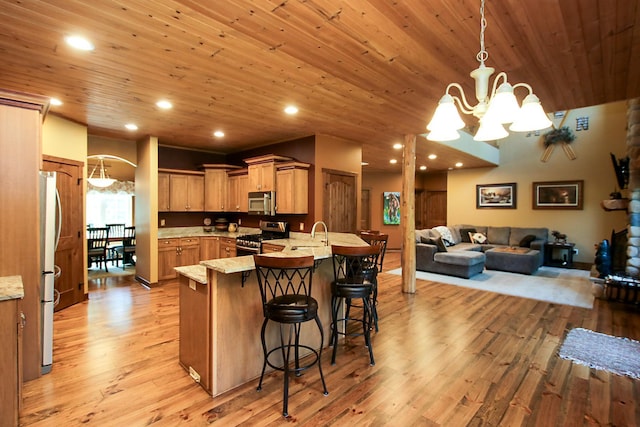 16694 206th Cir, Hutchinson, MN 55350 - kitchen featuring stainless steel appliances, a peninsula, a breakfast bar area, open floor plan, and light wood-style flooring