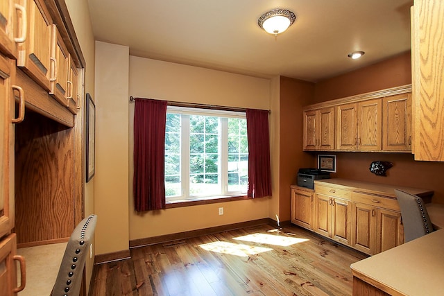 16694 206th Cir, Hutchinson, MN 55350 - kitchen featuring light wood-style floors, light countertops, and brown cabinetry