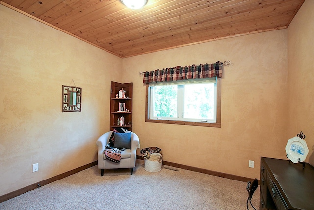 16694 206th Cir, Hutchinson, MN 55350 - living area with wooden ceiling and carpet flooring