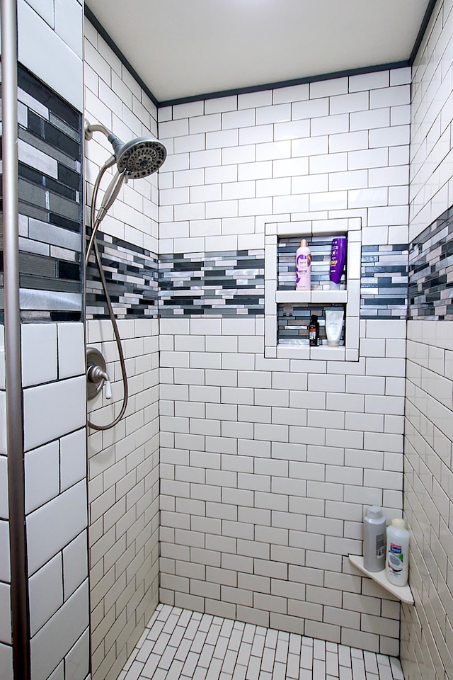 16694 206th Cir, Hutchinson, MN 55350 - bathroom with tiled shower