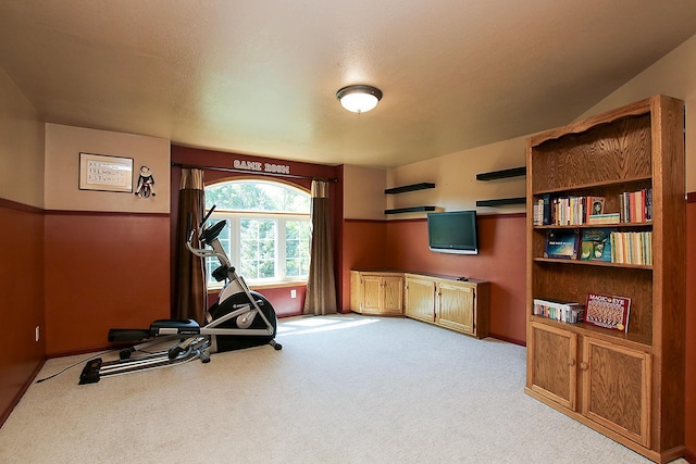 16694 206th Cir, Hutchinson, MN 55350 - workout area featuring light carpet and baseboards