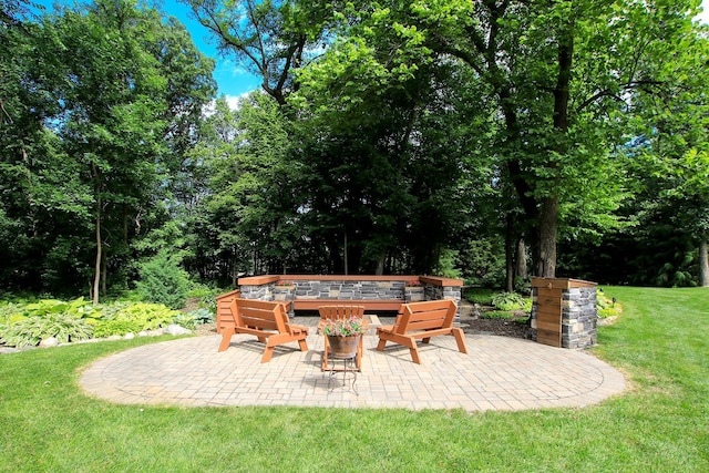 16694 206th Cir, Hutchinson, MN 55350 - view of patio