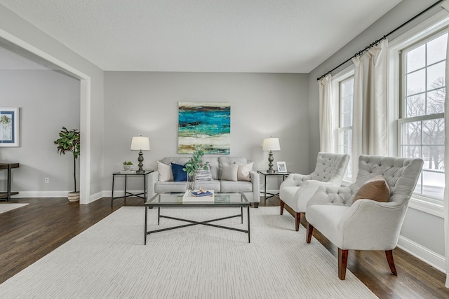 living room with baseboards and wood finished floors