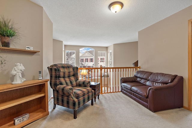 sitting room with carpet and a textured ceiling