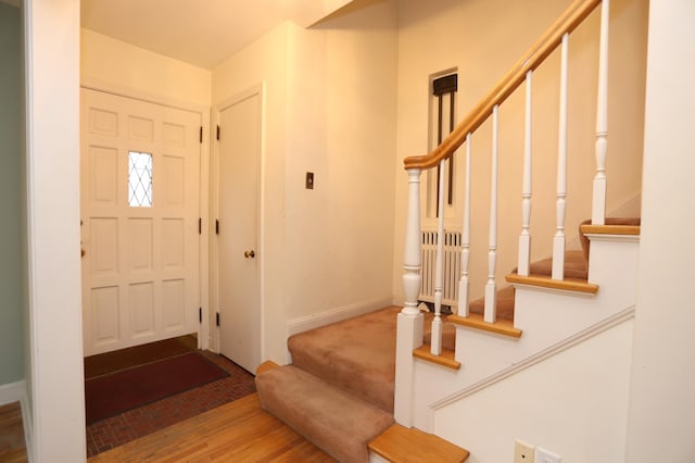 foyer with wood-type flooring