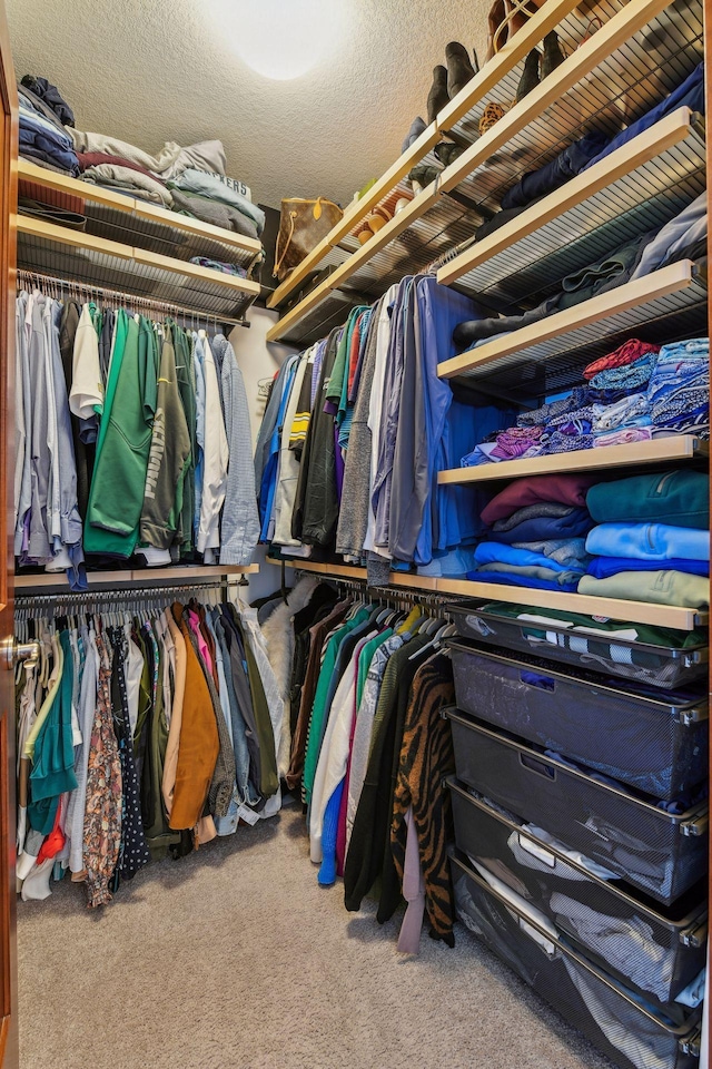 walk in closet featuring carpet floors