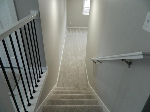 staircase featuring carpet flooring