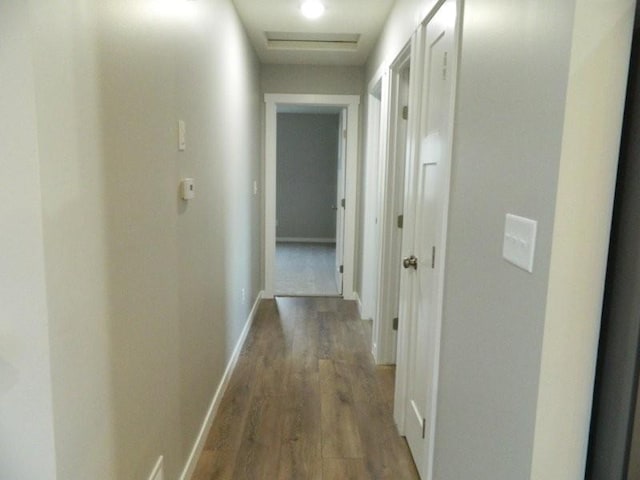 hallway featuring wood-type flooring