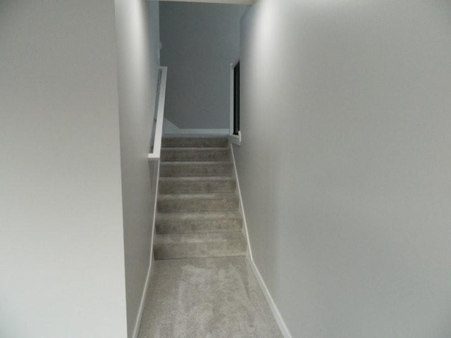 stairway with carpet flooring