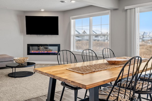 dining area featuring hardwood / wood-style floors and a textured ceiling