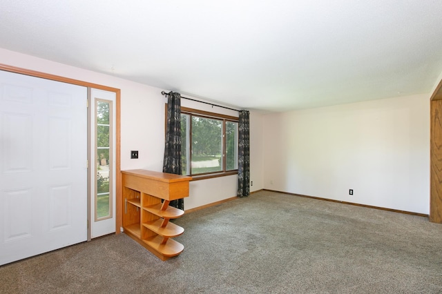 carpeted foyer featuring a healthy amount of sunlight