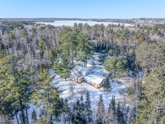 3579 Rodgers Ave E, Eagles Nest Twp, MN 55731 - aerial overview of property's location featuring a heavily wooded area and a large body of water