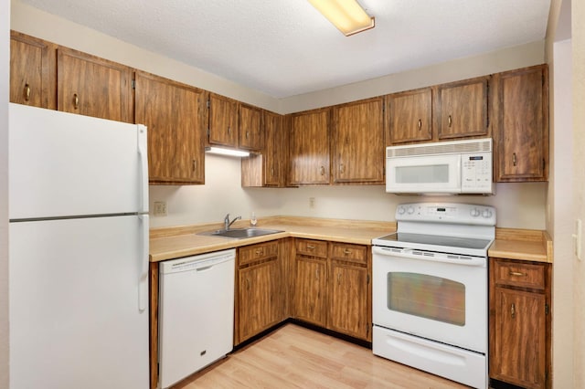 kitchen featuring white appliances, light hardwood / wood-style flooring, a textured ceiling, and sink