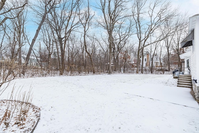 view of yard layered in snow