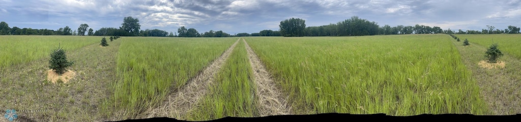 10486 State Highway 9 S, Barnesville, MN 56514 - photo 1