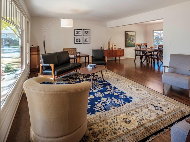 living room featuring dark hardwood / wood-style floors