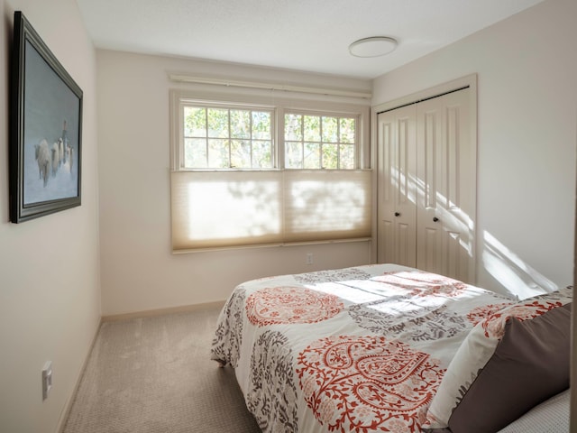 bedroom with a closet and carpet floors