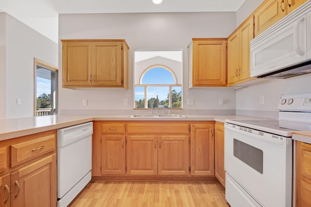 kitchen featuring white appliances, light hardwood / wood-style floors, plenty of natural light, and sink