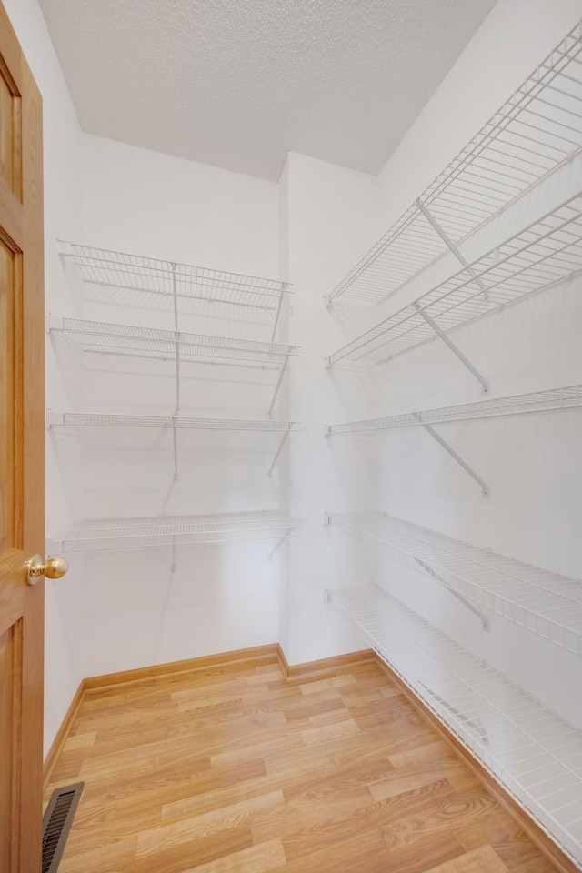 spacious closet with hardwood / wood-style floors