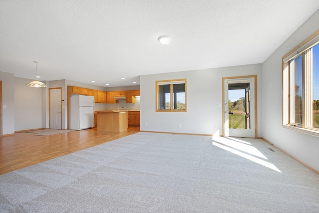 unfurnished living room featuring light colored carpet