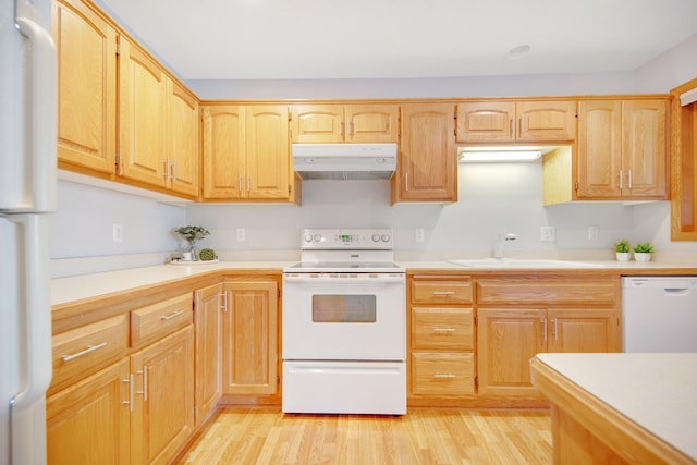 16377 Eidelweiss St NW, Andover, MN 55304 - kitchen featuring light wood-type flooring, white appliances, under cabinet range hood, a sink, and light brown cabinetry