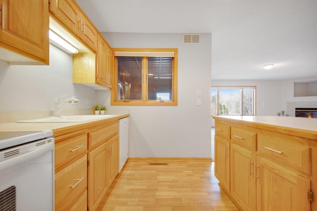16377 Eidelweiss St NW, Andover, MN 55304 - kitchen featuring dishwasher, a sink, light countertops, light wood-style flooring, and a glass covered fireplace