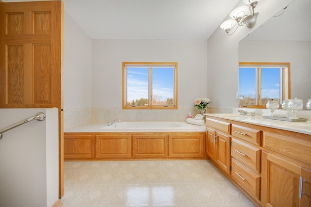 16377 Eidelweiss St NW, Andover, MN 55304 - bathroom with plenty of natural light, vanity, and a bath