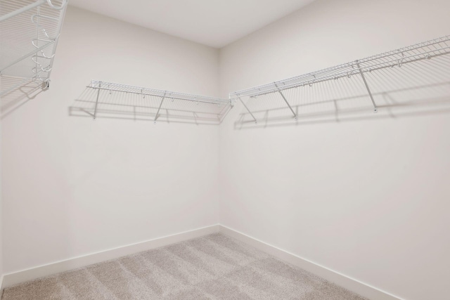 walk in closet featuring carpet flooring