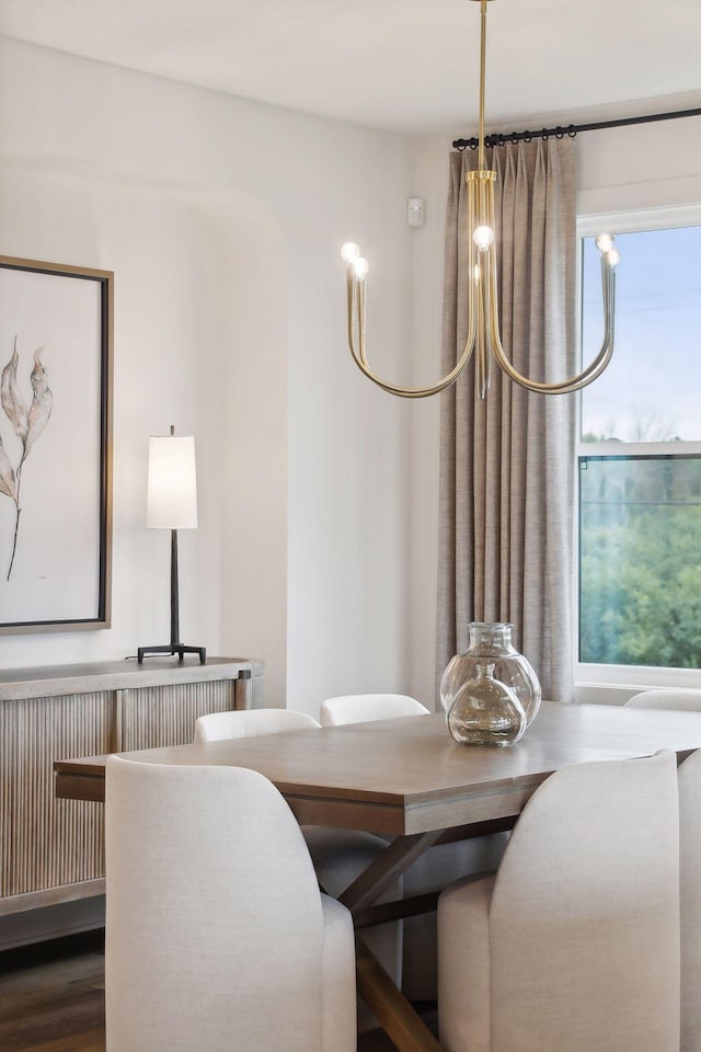 dining room with hardwood / wood-style floors and radiator heating unit