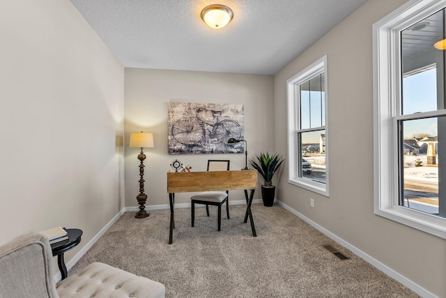 carpeted office with plenty of natural light